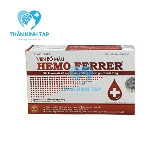 Viên bổ máu Hemo Ferrer 60 THÀNH CÔNG PHARMA